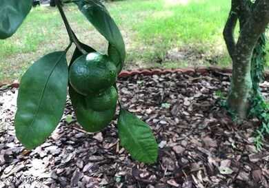 1677 Geraldine Dr, Jacksonville, FL 32205 - photo 7