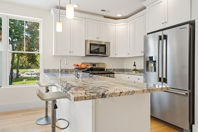 41 Woodville St unit 8, Boston, MA 02119 - photo 3