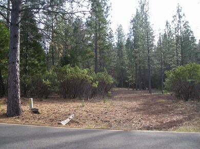 Driveway From Street