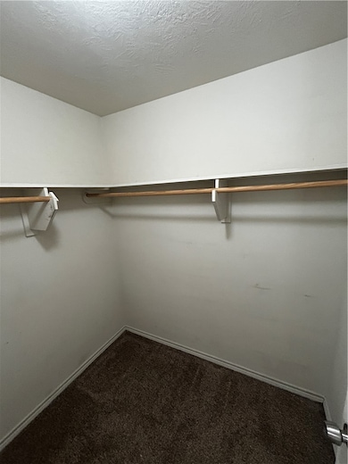 Walk in closet featuring carpet flooring