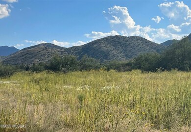 TBD Justin St Vacant Lot unit 7 & 10, Pearce, AZ 85625 - photo 2