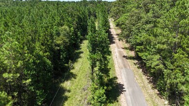 TBD Selma Loop, Georgetown, LA 71432 - photo 4