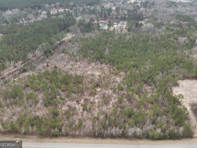 0 Rock Springs Rd unit 10456548, Dublin, GA 31021 - photo 6