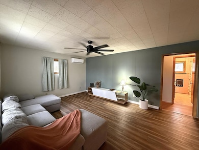 409 W 3rd St, Madison, MN 56256 - photo 6