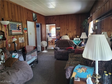 Living room featuring carpet floors and wood walls