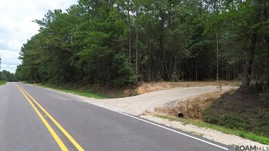 83234 Isabel Swamp Rd, Bush, LA 70431 - photo 2