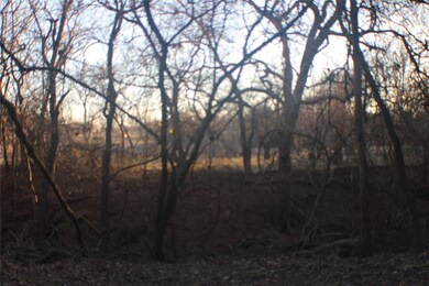 670 Wood Hollow Dr, Weatherford, TX 76087 - photo 7