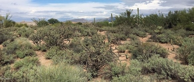 Venus Drive - Lot #21