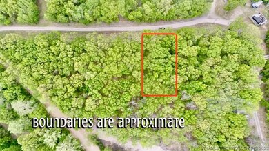 206 Cherokee Trail, Spavinaw, OK 74366 - photo 3