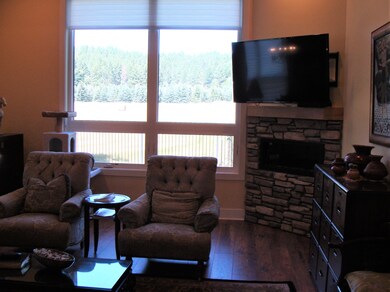 Great Room Fireplace