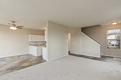 1921 Cobblestone Dr unit 431, Carpentersville, IL 60110 - photo 5
