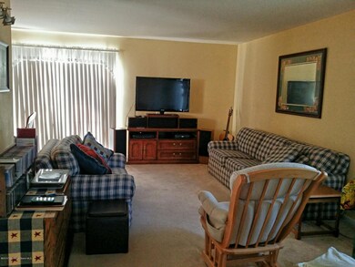 Large Living Room
