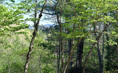 Additional View
