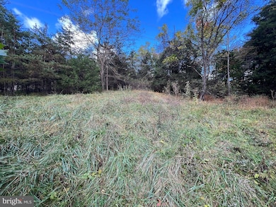 Lot 6 Deep Run Hollow, Delray, WV 26801 - photo 2