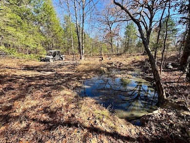 Tbd unit LotWP001, Natural Dam, AR 72948 - photo 6