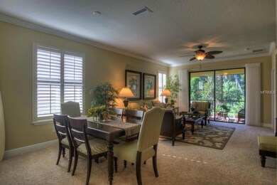 442 Seneca Falls Dr, Apollo Beach, FL 33572 - photo 7