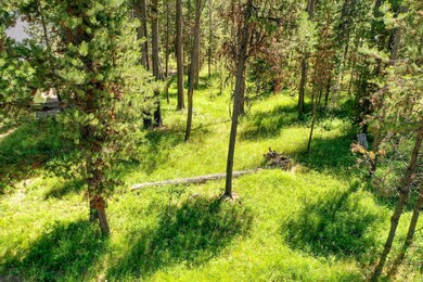 DJI_0822