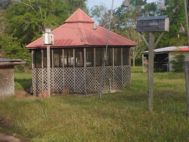 32307 Fisherman Rd, Dozier, AL 36028 - photo 6