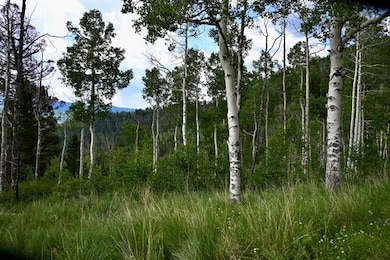 0 Highway 145 unit 42780, Dolores, CO 81323 - photo 7