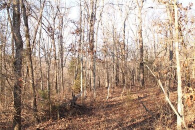 0 Madison 5540 unit 1088702, Elkins, AR 72727 - photo 4