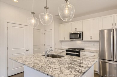 13832 Honey Hush Trail, Parker, CO 80134 - photo 7