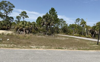 Lot 47 Jubilation Dr, Cape San Blas, FL 32456 - photo 3