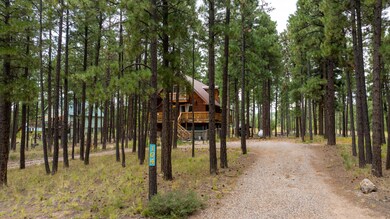 104 Trilobite Trail, Jemez Springs, NM 87025 - photo 5