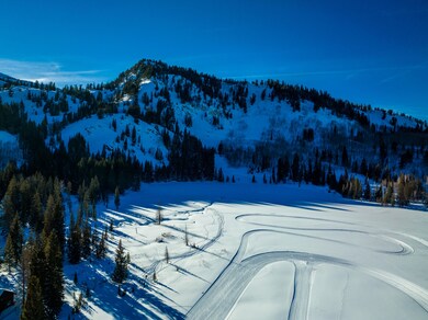 20220110-DJI_0215