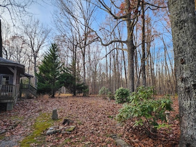 21766 Highway 157, Menlo, GA 30731 - photo 4