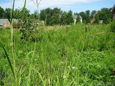 149 Upper Oak Dr, Statesville, NC 28625 - photo 6