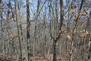 Lot 3 Plateau Ln, Kimberling City, MO 65686 - photo 6