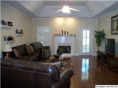 Huge Greatroom with beautiful hardwood floors, cat