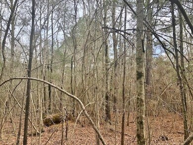 000 Old Hwy 24, McComb, MS 39648 - photo 5