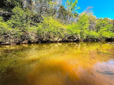 65400 State Route 172, Phil Campbell, AL 35581 - photo 2