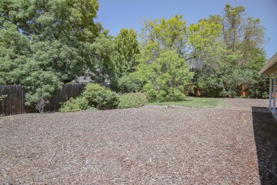 5 Backyard