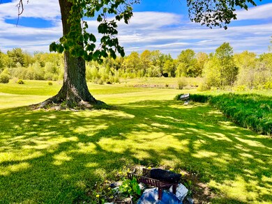 Sit under the Walnut Tree