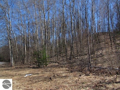 9450 E Hoxie Rd unit 8, Cedar, MI 49621 - photo 7