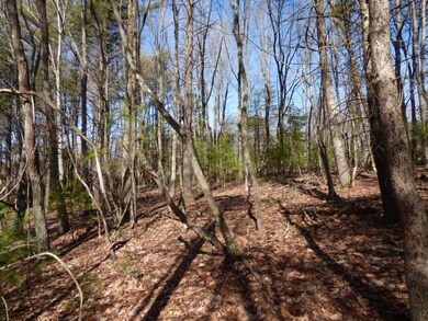 204 Glen Planters Ln unit 26, Daniels, WV 25832 - photo 3