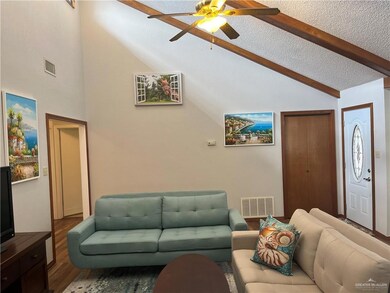 906 Citrus Dr, Alamo, TX 78516 - photo 3