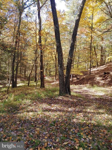 453 Walters Ln, Mathias, WV 26812 - photo 4