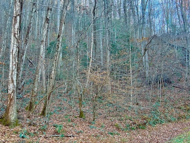 22 Davis Walker Ridge, Mineral Bluff, GA 30559 - photo 5