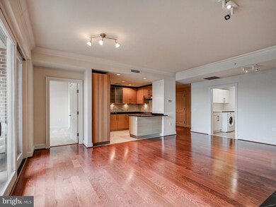 The Ritz-Carlton Residences unit 333, Baltimore, MD 21230 - photo 7