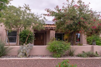 Front Yard 8