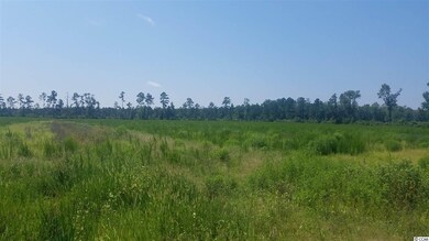 18.03 Acres Fowler Rd, Conway, SC 29526 - photo 2