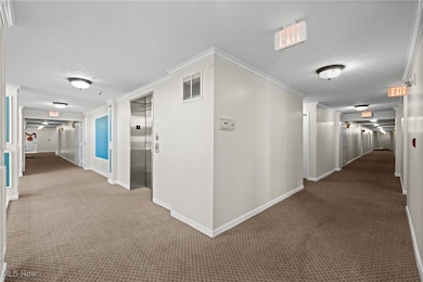 23003 Chandlers Ln unit 230, Olmsted Falls, OH 44138 - photo 5