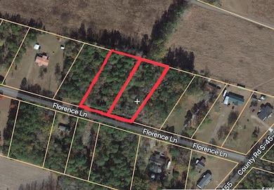 TBD Florence Ln, Kingstree, SC 29556 - photo 5