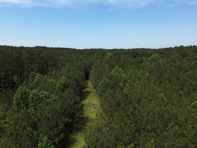 0 Judydahl Rd unit 11616615, Woodville, MS 39669 - photo 5