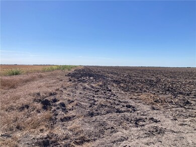 ~87 Acres County Road 339, Alice, TX 78332 - photo 5
