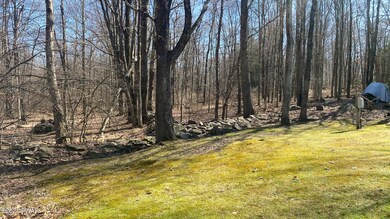 126 Cindy Ln, Paupack Township, PA 18428 - photo 3