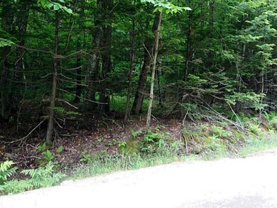 0 Bonney Rd unit 1145846, Sumner, ME 04270 - photo 4